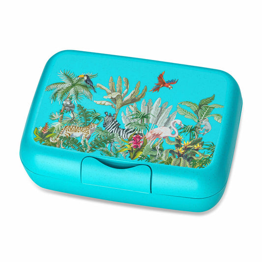 Koziol Lunchbox Candy L Jungle, Brotdose, Kunststoff-Holz-Mix, Organic Turquoise, 1426682