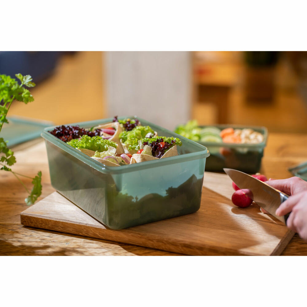 EMSA Clip &amp; Close Eco food storage container, storage container, plastic, green, 3.7 L, N11704