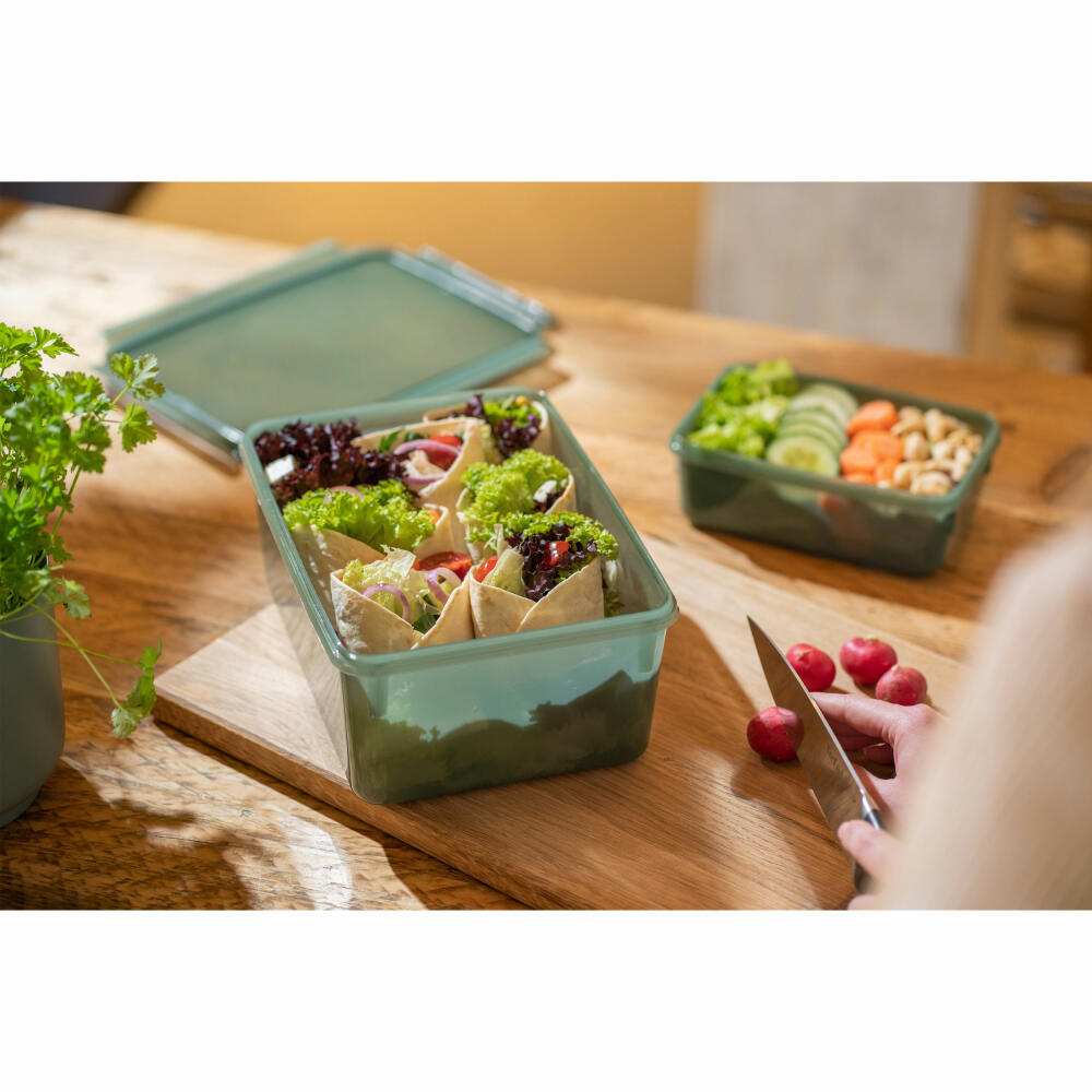 EMSA Clip &amp; Close Eco food storage container, storage container, plastic, green, 3.7 L, N11704