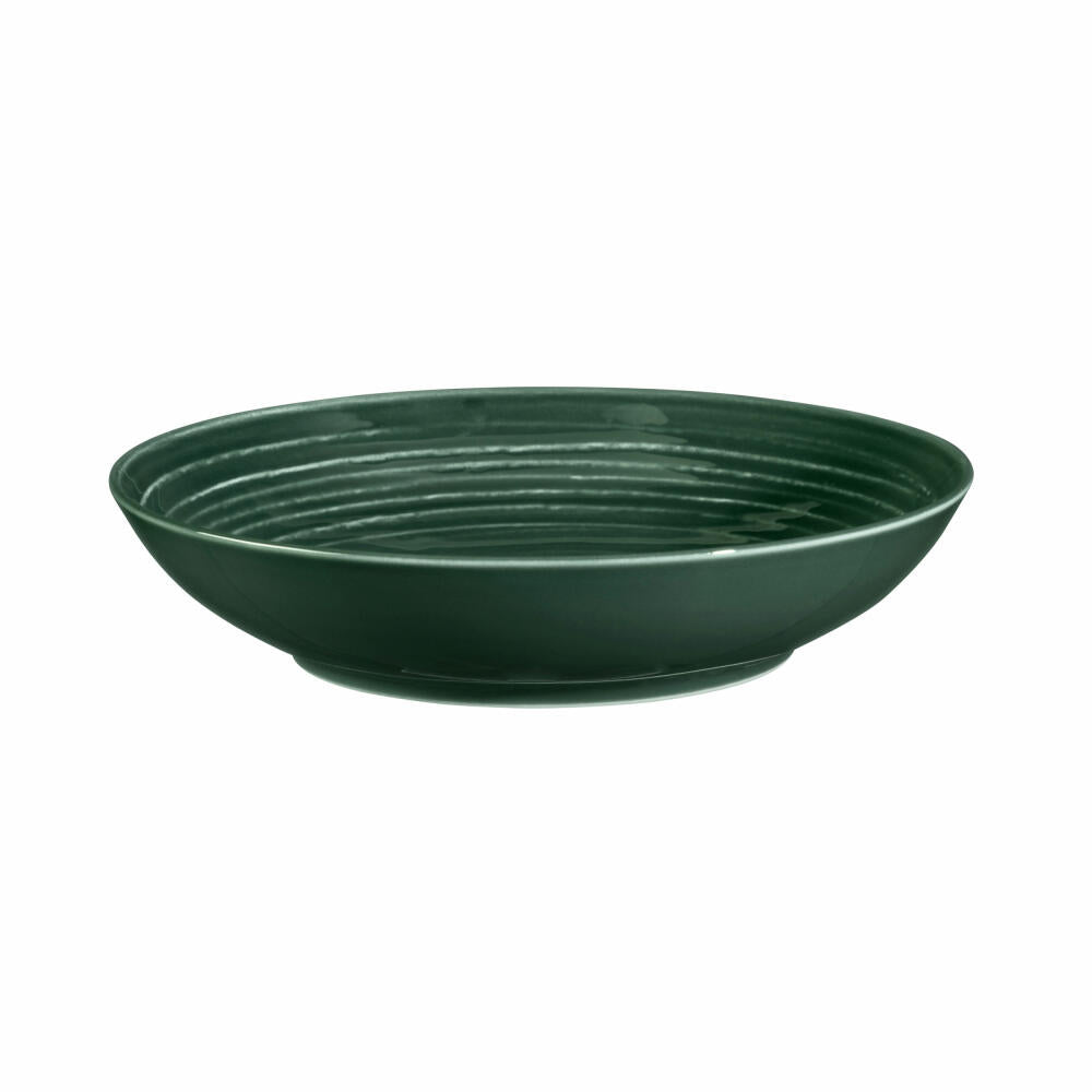 Seltmann Weiden Terra Suppenteller, Teller, Porzellan, Moosgrün, Ø 21.2 cm, 001.765017