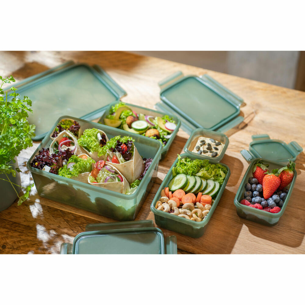 EMSA Clip &amp; Close Eco food storage container, storage container, plastic, green, 3.7 L, N11704