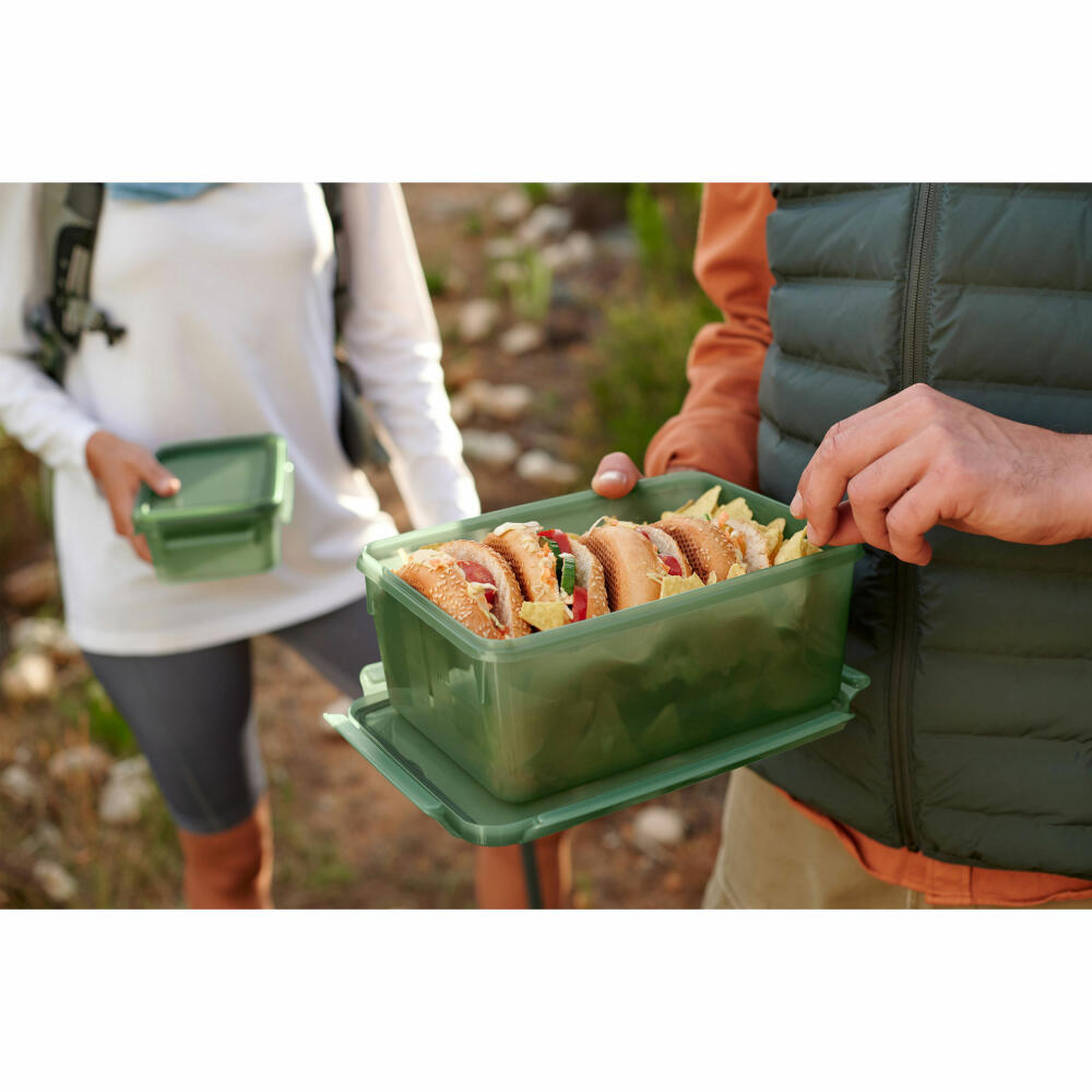 EMSA Clip &amp; Close Eco food storage container, storage container, plastic, green, 3.7 L, N11704