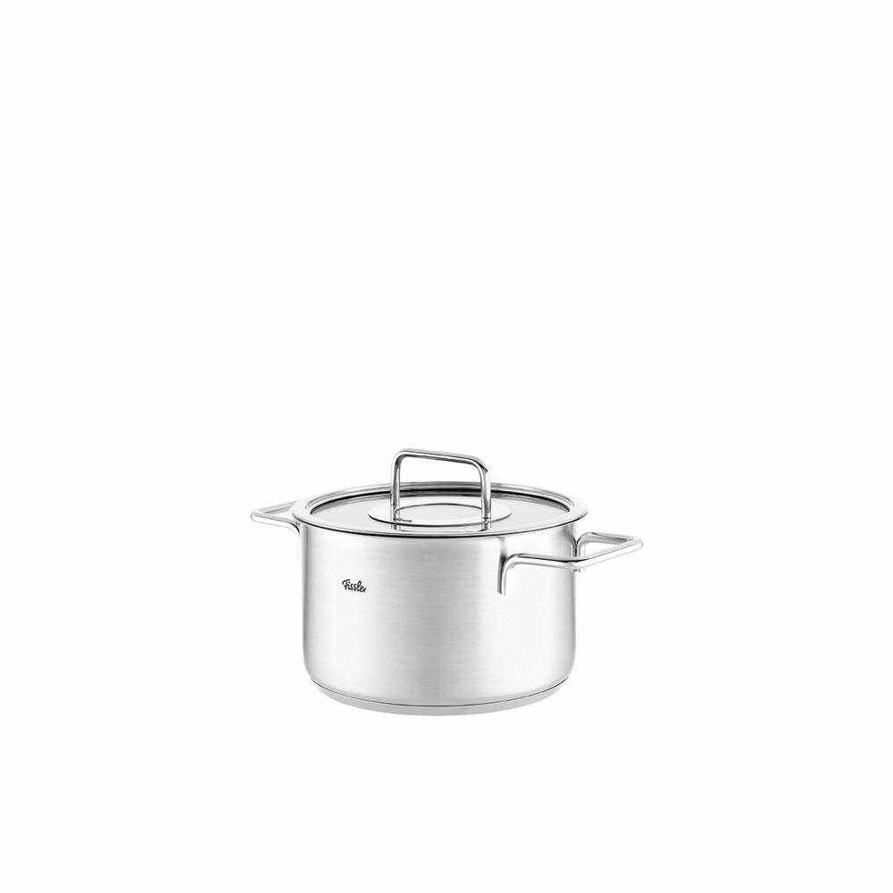 Fissler Pure cooking pot with glass lid, stainless steel 18/10, silver, 20 cm, 086-115-20-000