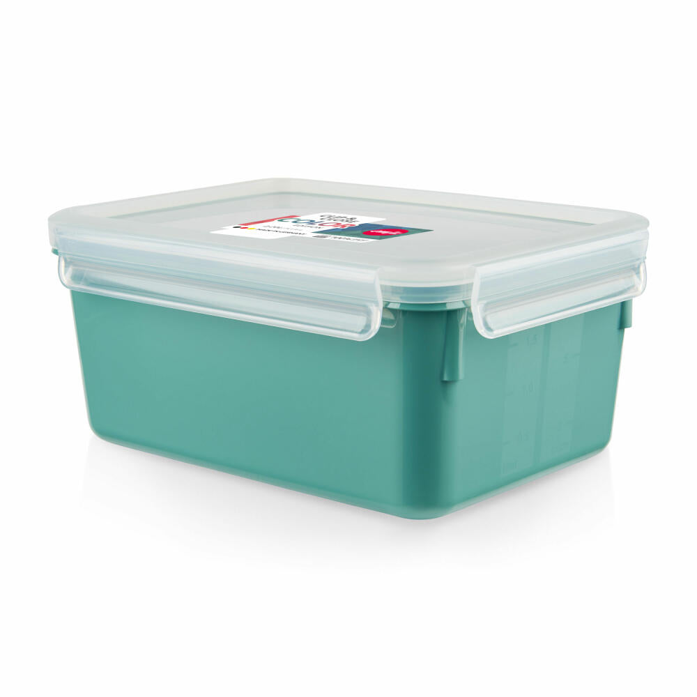 EMSA Clip &amp; Close COLOR EDITION food storage container, storage container, plastic, powder green, 2.2 L, N10130