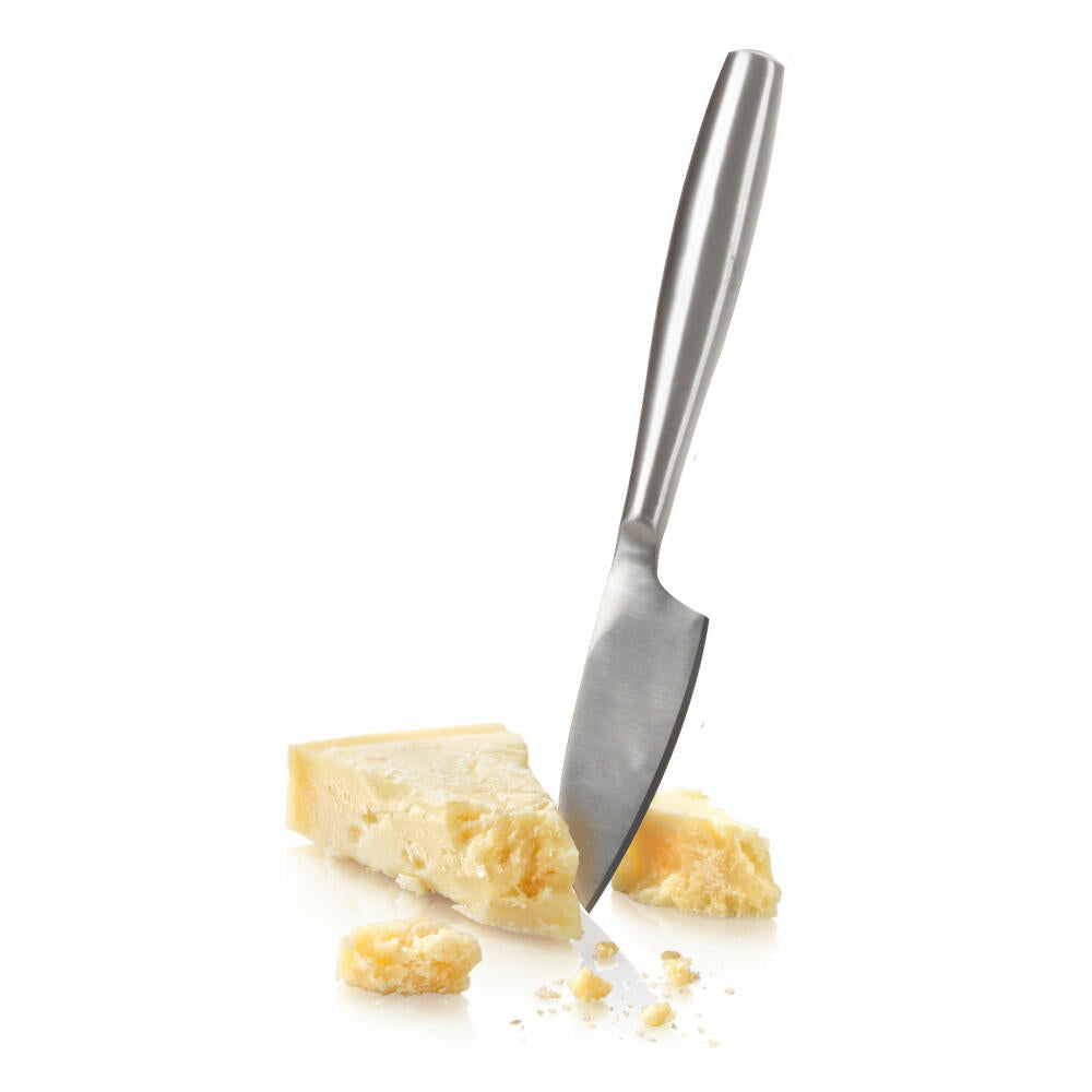 Boska Hard Cheese Knife Copenhagen, Cheese, Kitchen Utensil, Knife, Stainless Steel, 21 cm, 357604