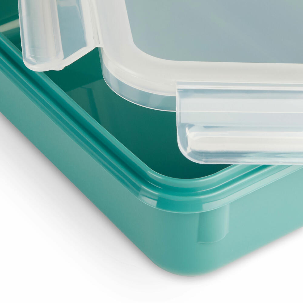 EMSA Clip &amp; Close COLOR EDITION food storage container, storage container, plastic, powder green, 2.2 L, N10130