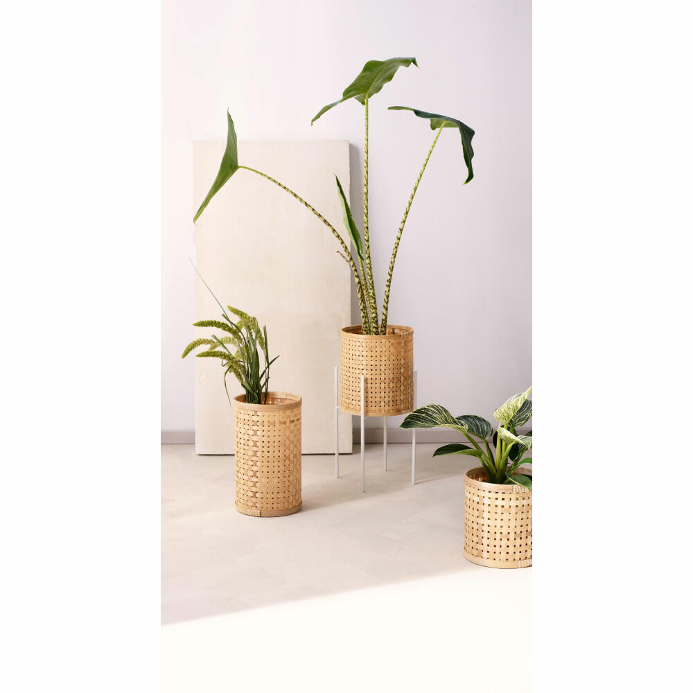 ASA Selection haruko Bambus Zylinder, Übertopf Blumentopf, Pflanzkübel, Blumenkübel, Bambus, Natur, H 30 cm, 64084971