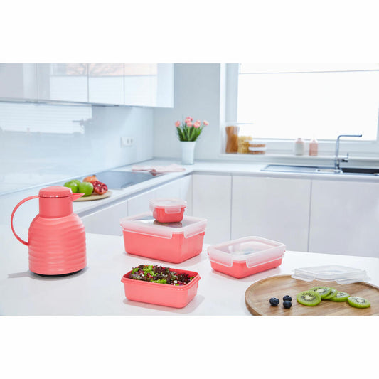 EMSA Clip &amp; Close COLOR EDITION food storage containers, 4 pcs., storage container, storage container, food storage container, plastic, coral, N10309