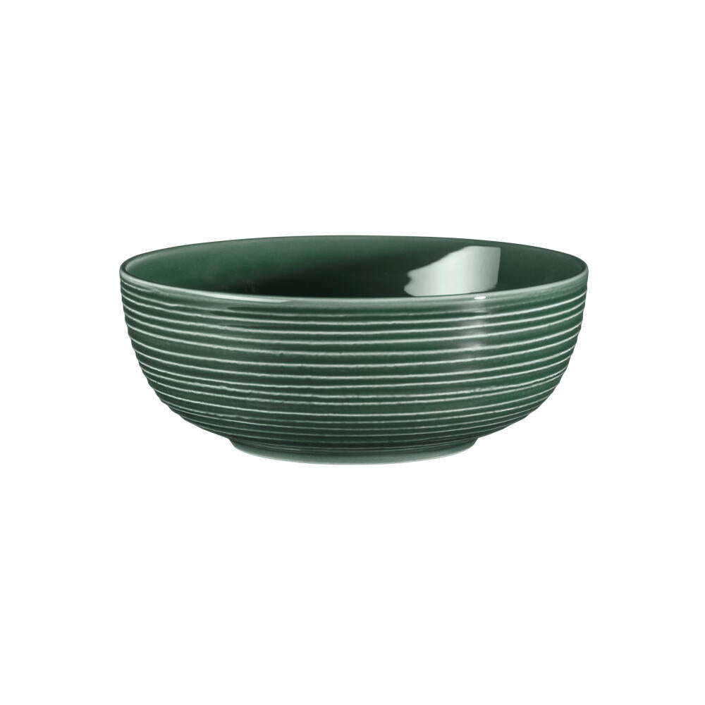 Seltmann Weiden Terra Foodbowl, bowl, porcelain, moss green, Ø 20.4 cm, 001.765019