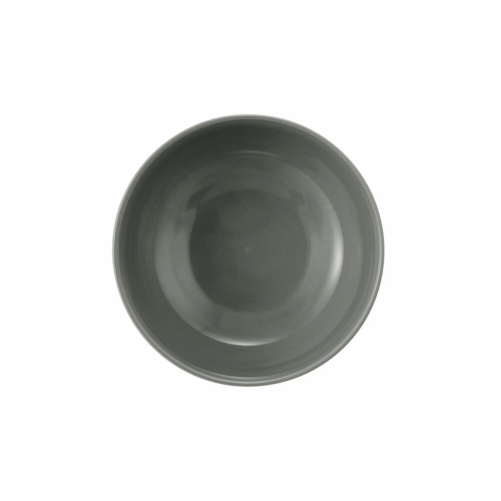 Seltmann Weiden Terra cereal bowl, bowl, porcelain, pearl grey, Ø 15 cm, 001.764998