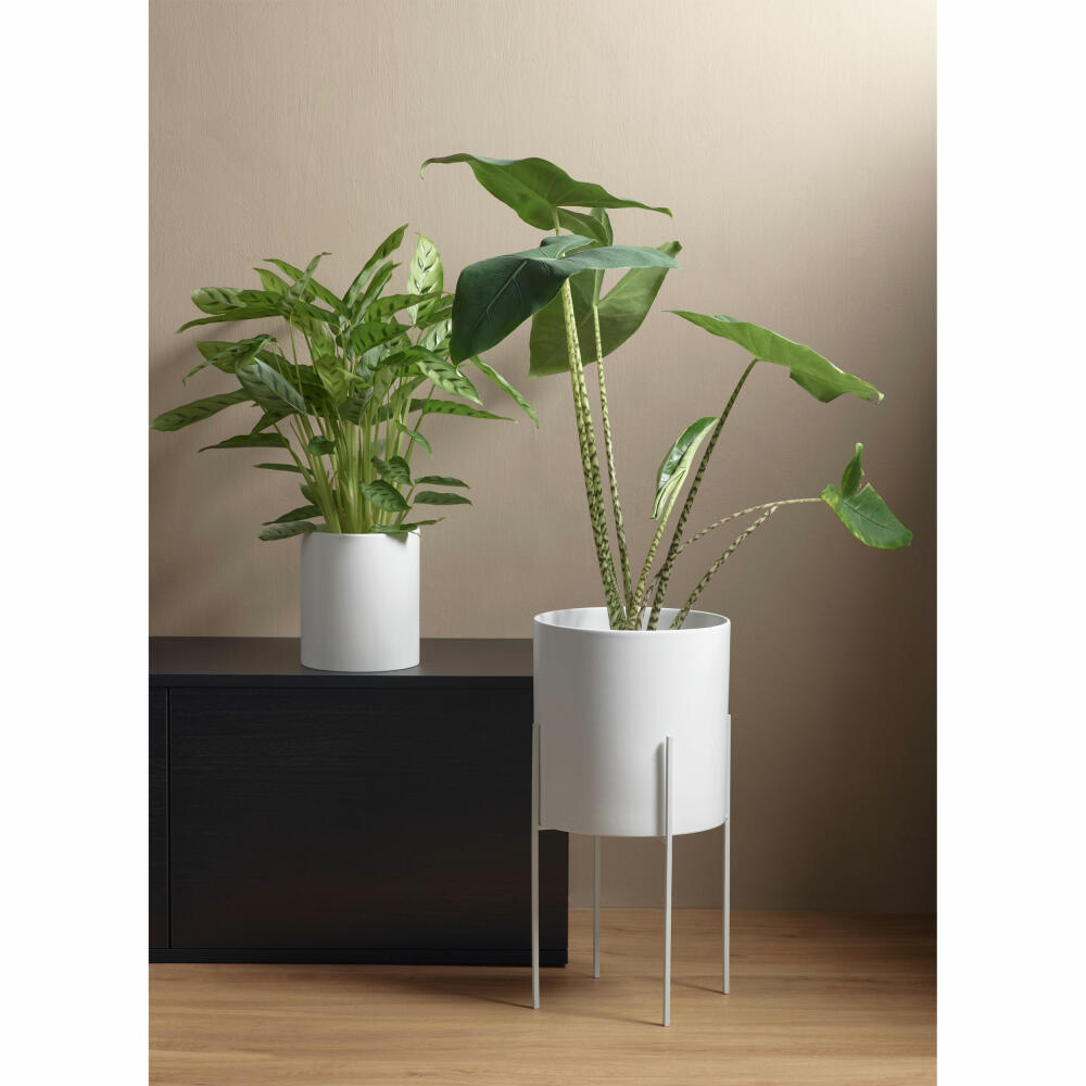 ASA Selection haruko Übertopf, Blumentopf, Pfanzentopf, Pflanzkübel, Blumenkübel, Steingut, Weiß Matt, H 23 cm, 64056091