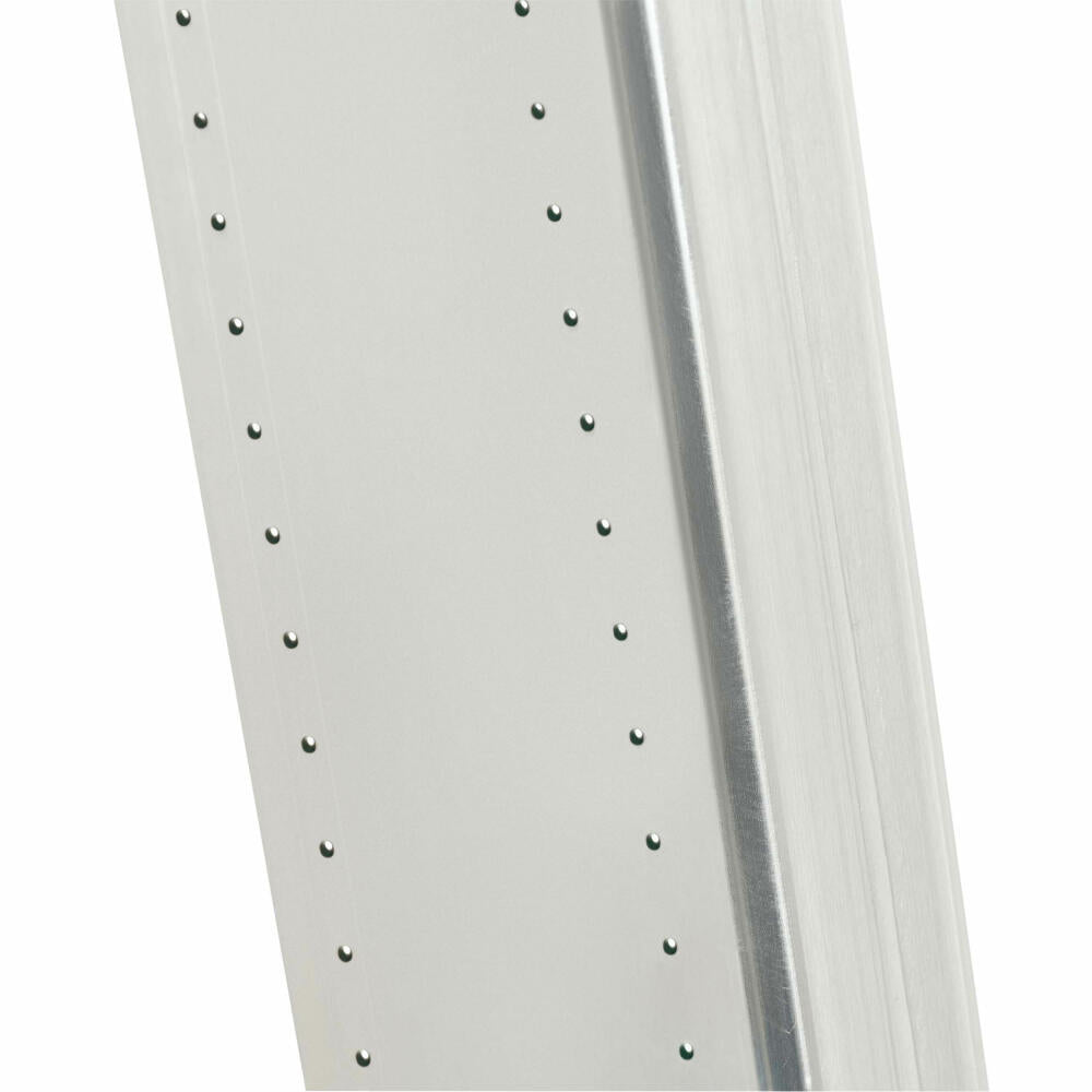 Hailo leaning ladder S60 ProfiStep uno, rung ladder, ladder, aluminum, silver, 6 rungs, 7106-007