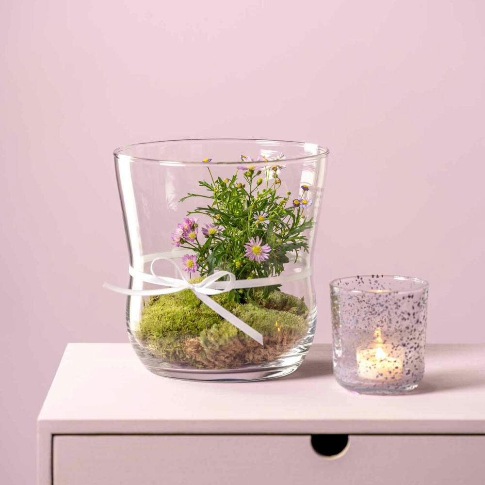 Leonardo Windlicht VITA, Tischlicht, Kerzenhalter, Glas, 18.5 cm, 044068