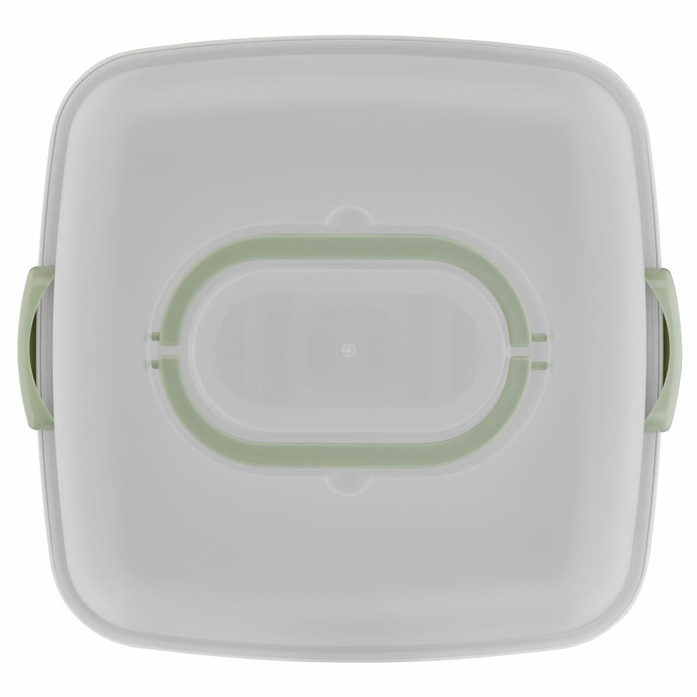 Emsa Kuchenaufbewahrungsbox Prep & Bake rechteckig, Kunststoff, Transparent, Grün, 37 x 33 cm, K32670