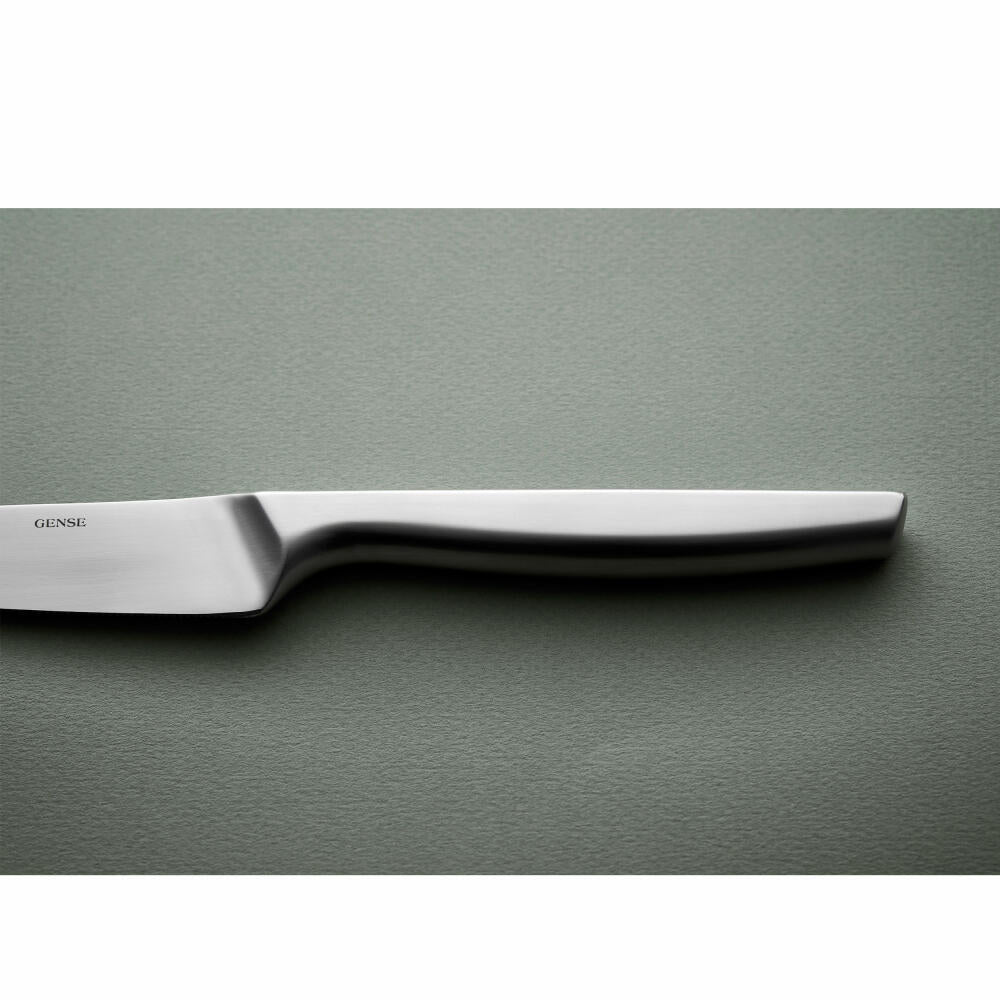 Gense Steakmesser Norm 4er Set, Fleischmesser, 18/10 Stahl, 26917