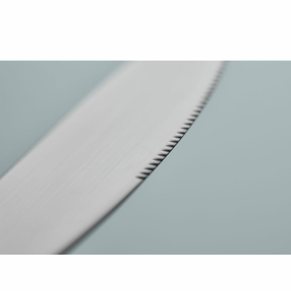 Gense Messer Ranka, Besteck, Tafelmesser, 18/8 Edelstahl, 20 cm, 20569