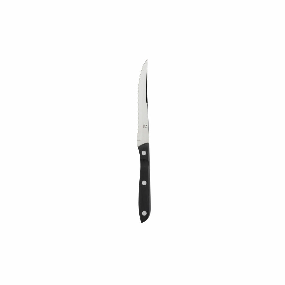 Gense Steakmesser Old Farmer Black, POM-Kunststoff, 18/8 Edelstahl, 22 cm, 20551