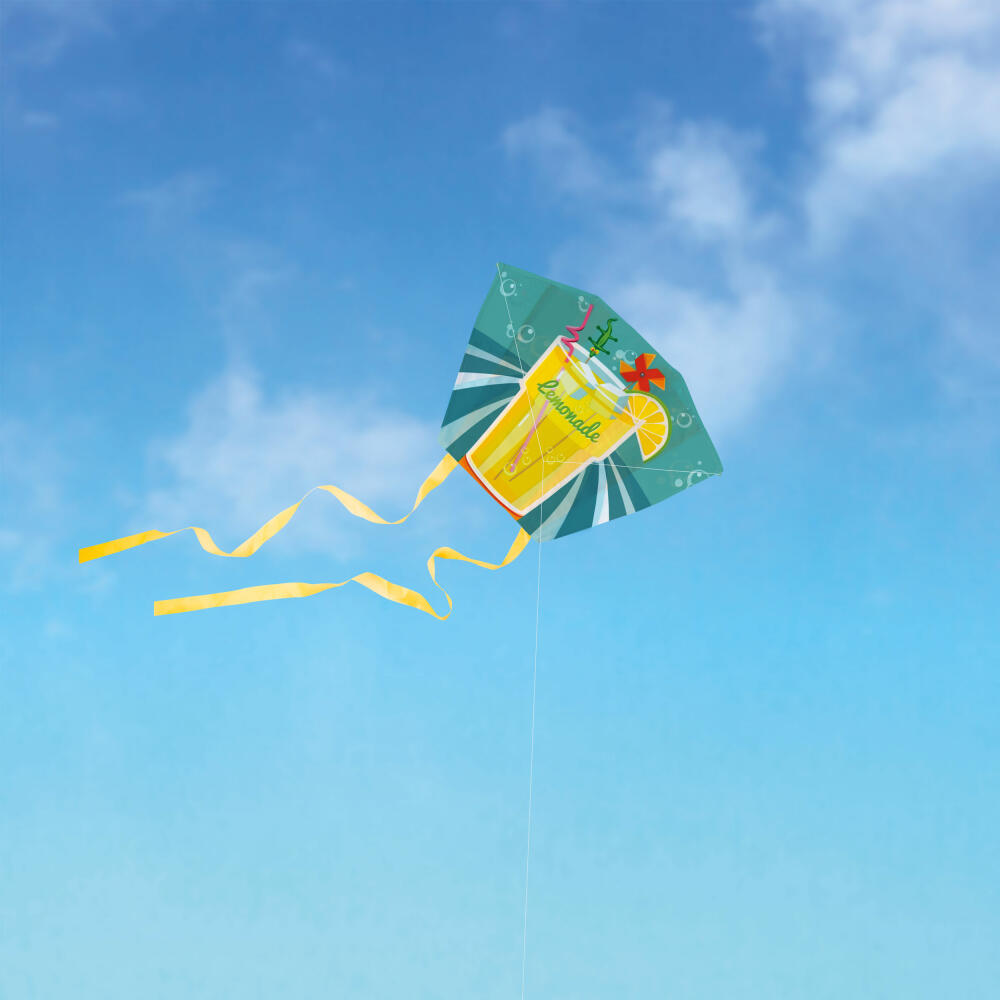 Donkey Products Mini Kite - LemonAir, kite in a can, polyester, tin, colorful, 45 x 33 x 25 cm, 340007