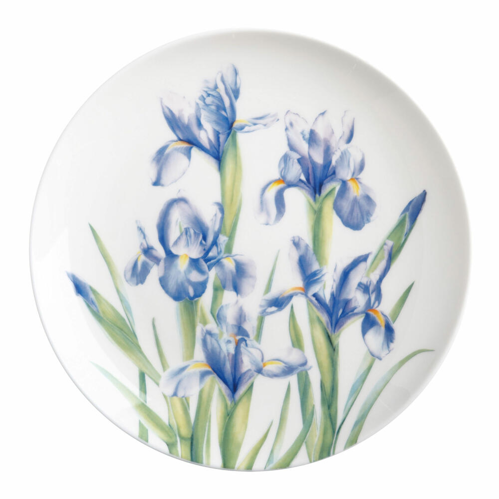 Maxwell & Williams Teller Iris - Katherine Castle Floriade, Speiseteller, Frühstücksteller, Bone China, Bunt, 20 cm, JY0049