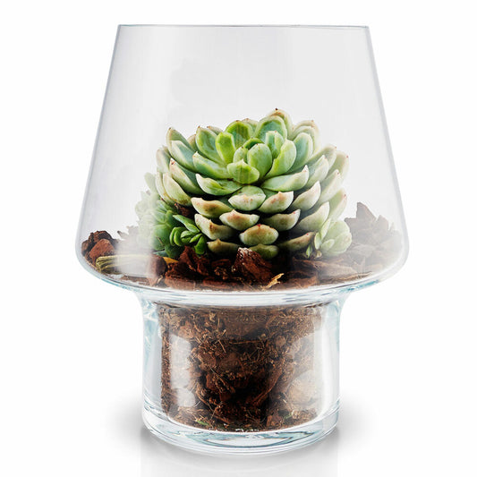 Eva Solo succulent glass vase, flower vase, decorative vase, glass, transparent, Ø 15 cm, 568187