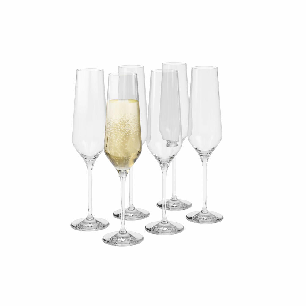 Eva Solo Legio Nova Champagnergläser, 6er Set, Champagner Gläser, Champagnerglas, Sektglas, Kristallglas, 260 ml, 541204