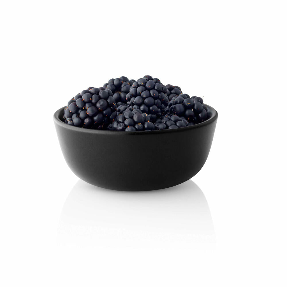 Eva Solo Schale Nordic Kitchen 10 cm, Schüssel, Müslischale, Steinzeug, Schwarz, 150 ml, 502767