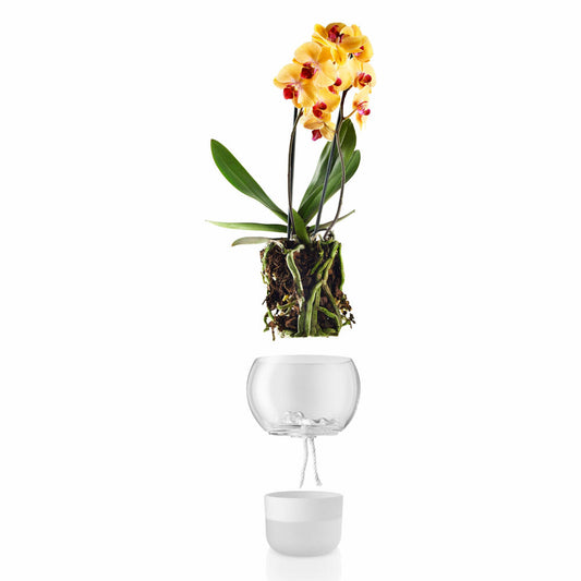 Eva Solo Orchideentopf, Blumentopf, Selbstbewässernd, Übertopf, Gefrostetes Glas/Glas/Nylon, Frost, Ø 15 cm, 568149
