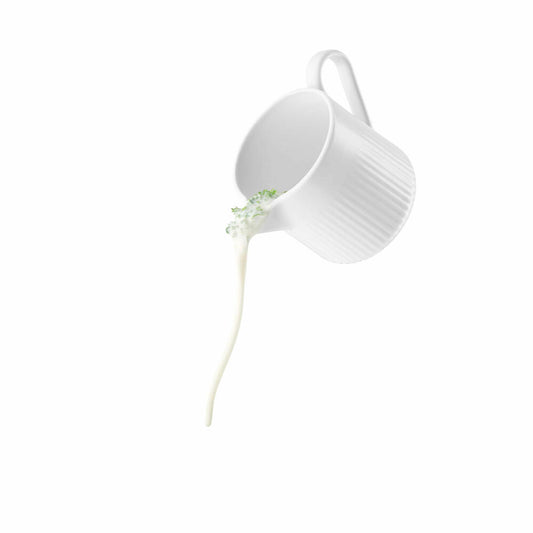 Eva Solo Kanne Nova, Milchkanne, Kännchen, Servierkanne, Porzellan, Weiß, 700 ml, 887238