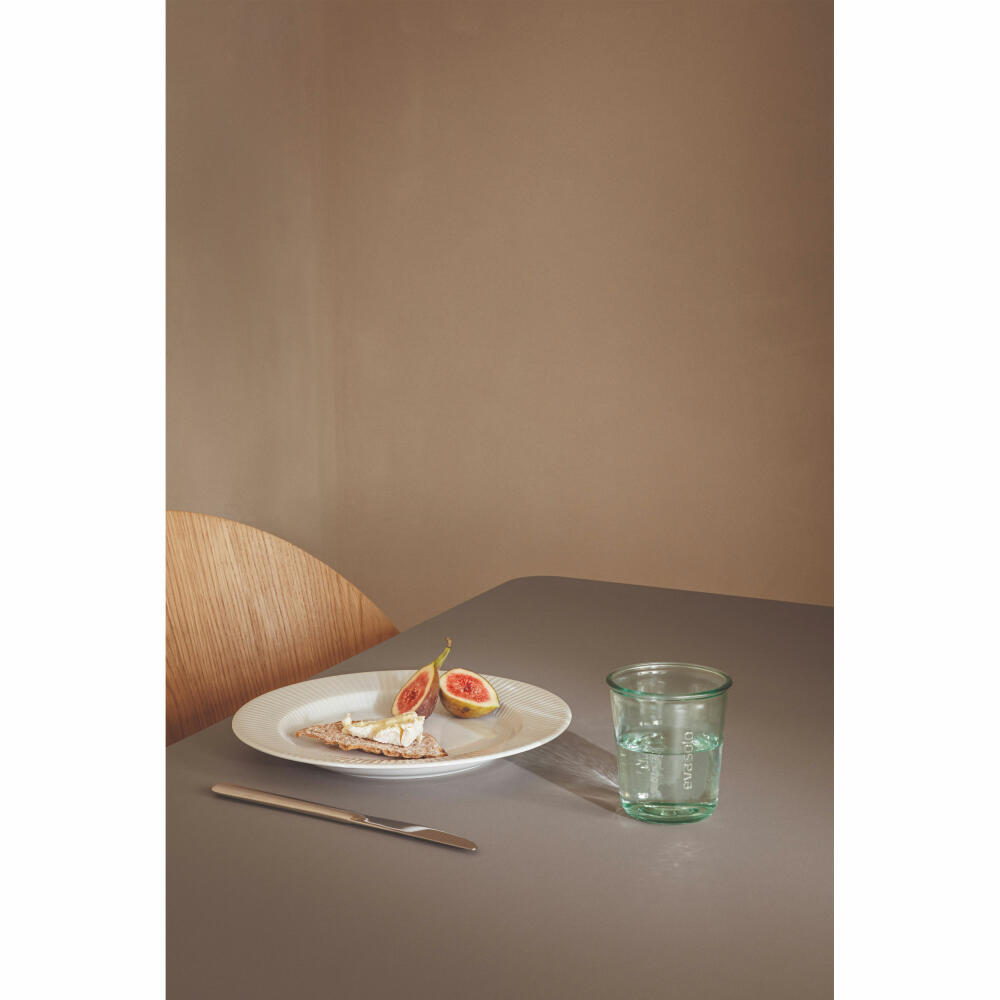 Eva Solo Recycled Trinkgläser 4er Set, Wasserglas, Tumbler Glas, Becher, Recyclingglas, Transparent, 250 ml, 541047