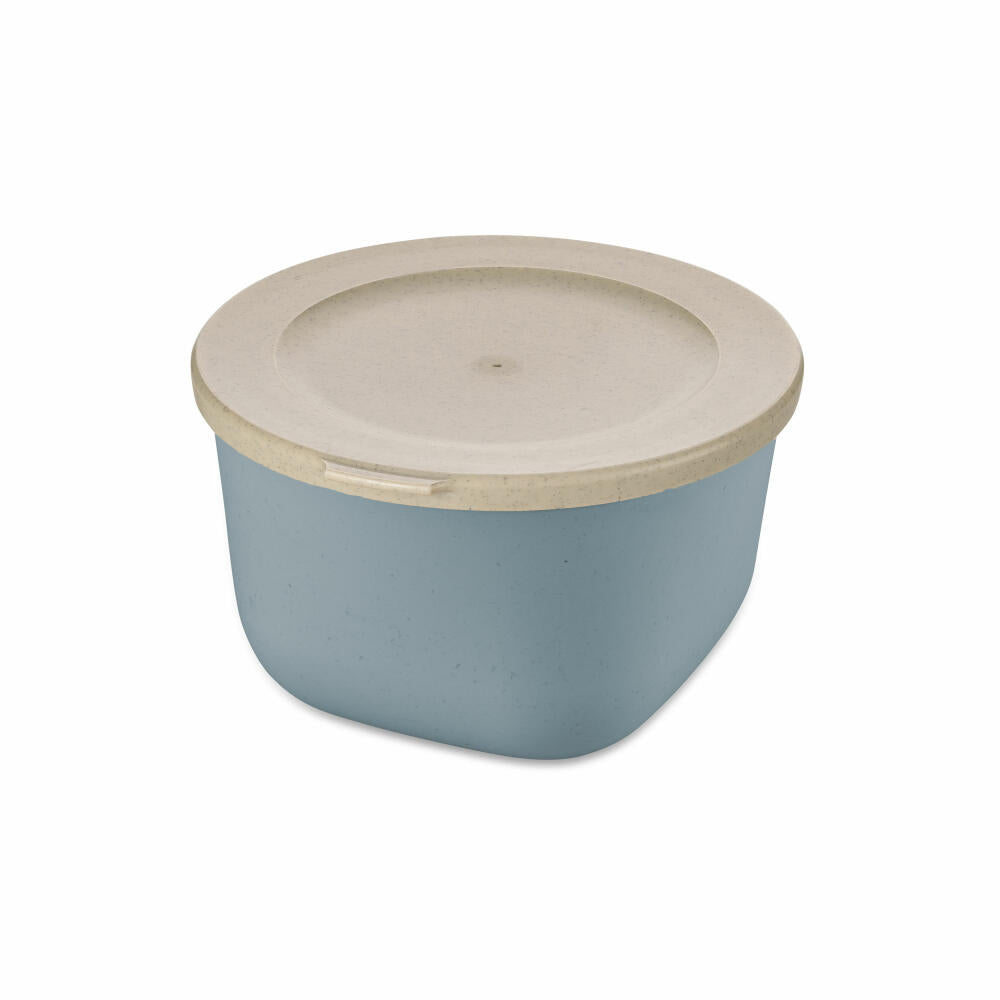 Koziol Connect Box 1 mit Deckel, Biozirkulärer Kunststoff, Nature Flower Blue, 1 L, 7870716