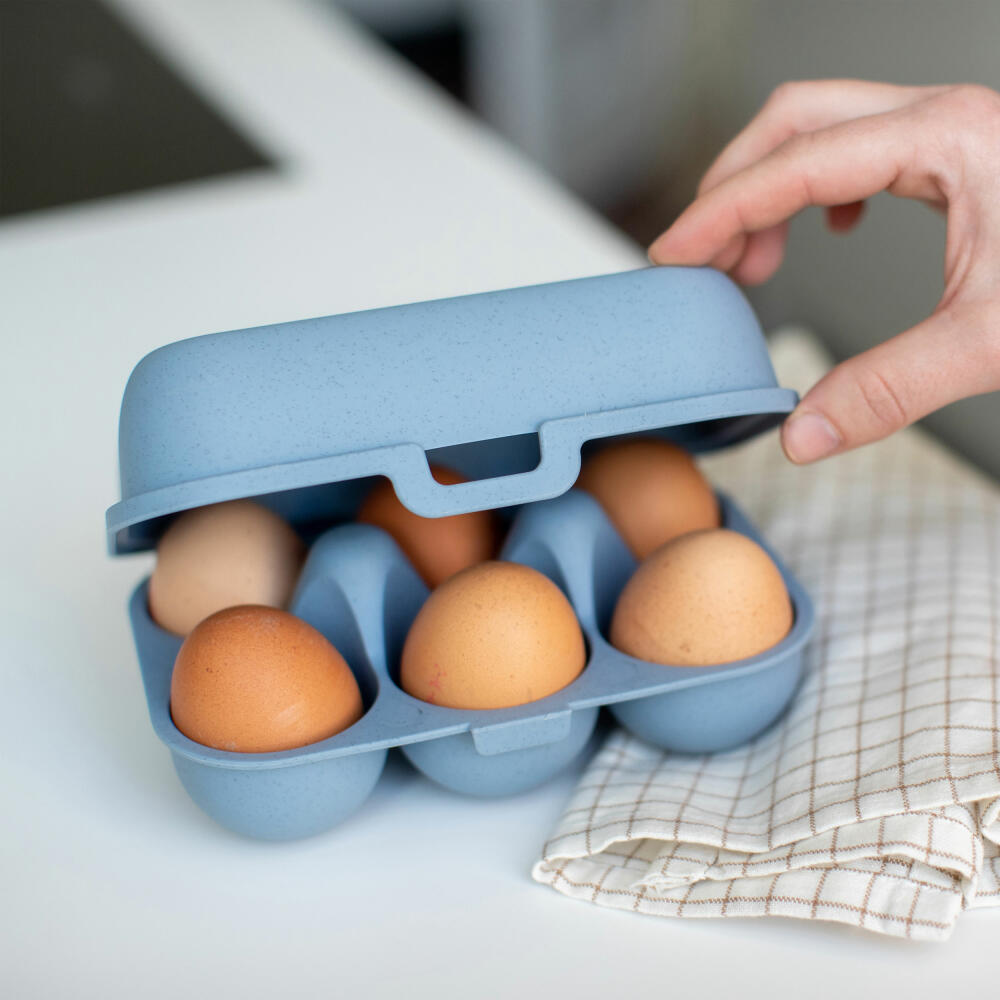 Koziol Eierbox Eggs To Go Mini, für 6 Eier, Biozirkulärer Kunststoff, Nature Flower Blue, 7186716