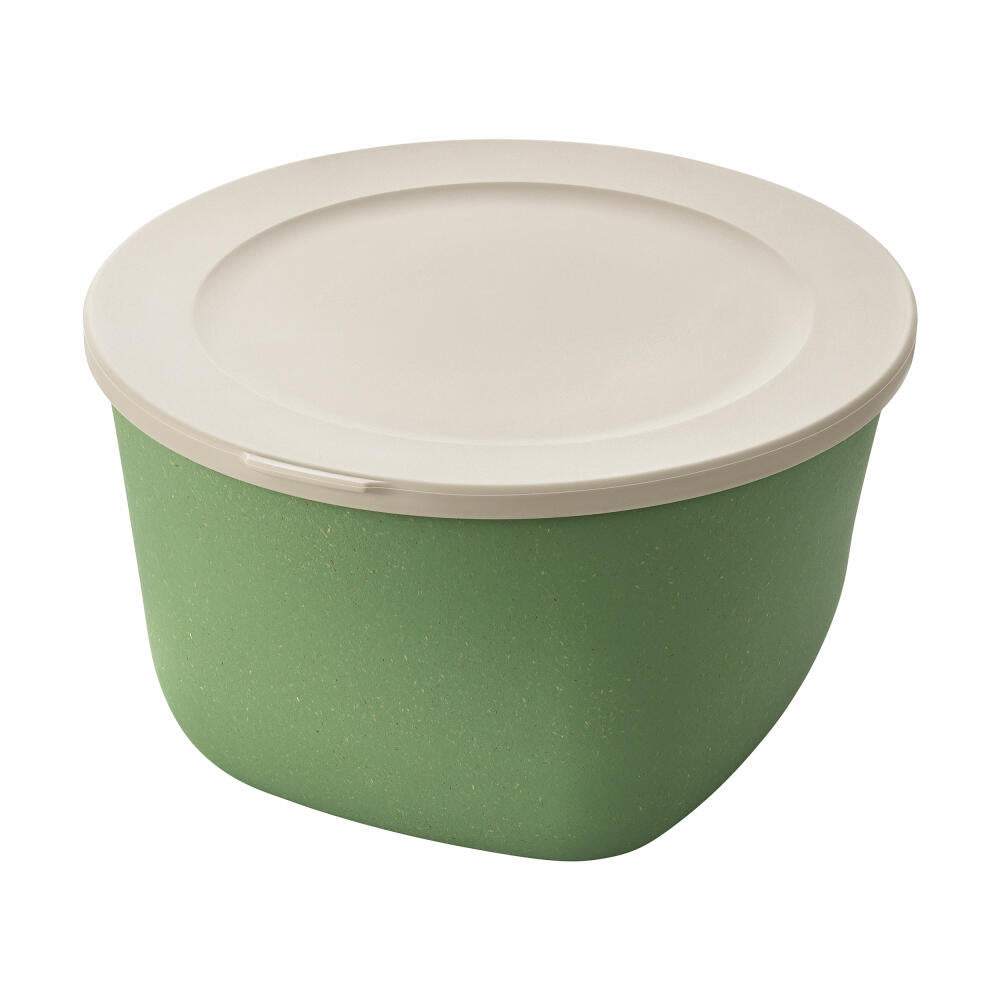 Koziol Dose Connect Box mit Deckel, Schüssel, Schale, Kunststoff-Holz-Mix, Nature Leaf Green, 1 L, 7870703