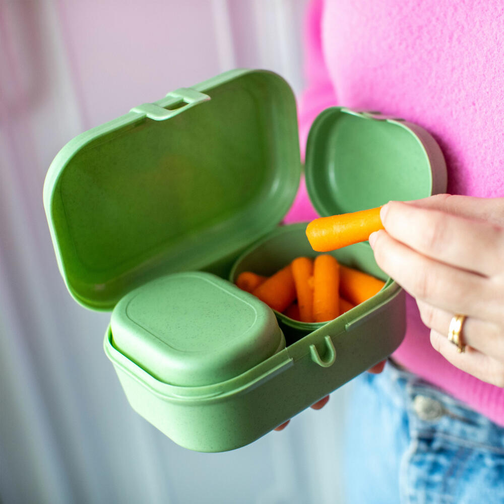 Koziol Lunchbox-Set 3-tlg. Pascal Ready Mini, Brotdosen, Kunststoff, Nature Leaf Green, 7151703