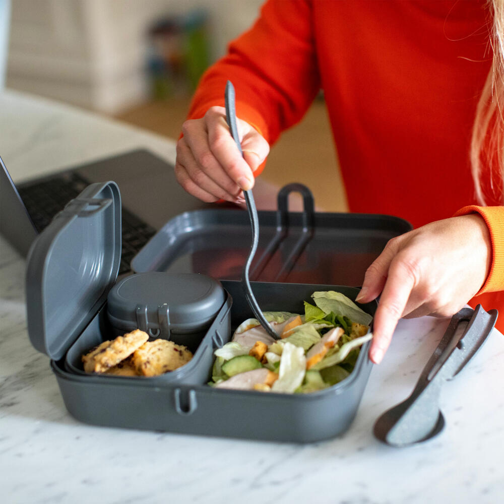 Koziol Lunchbox-Set + Besteck-Set Pascal Ready, Brotdose, Kunststoff-Holz-Mix, Nature Ash Grey, 7168701