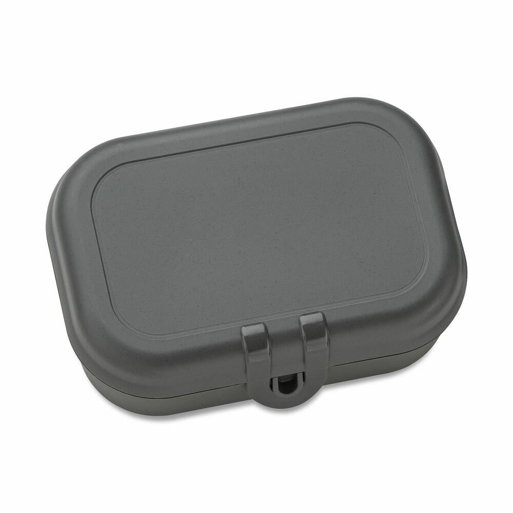 Koziol Lunchbox Pascal S, Brotdose, Kunststoff, Nature Ash Grey, 7158701