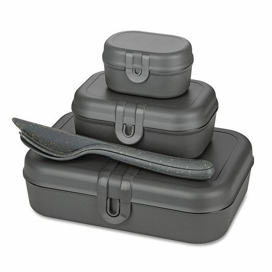 Koziol Lunchbox-Set + Besteck-Set Pascal Ready, Brotdose, Kunststoff-Holz-Mix, Nature Ash Grey, 7168701