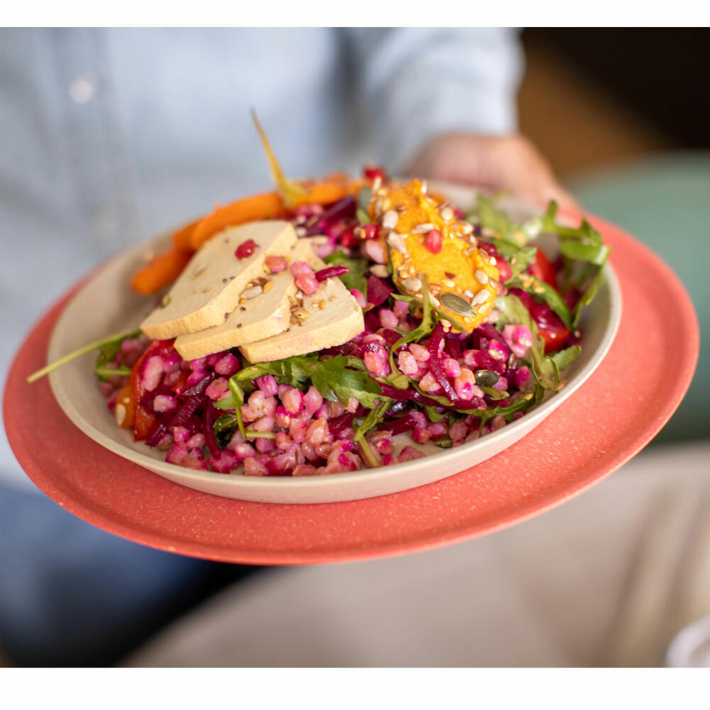 Koziol Großer Teller Connect Plate 4er Set, Biozirkulärer Kunststoff, Nature Flower Blue, 25.5 cm, 7101716