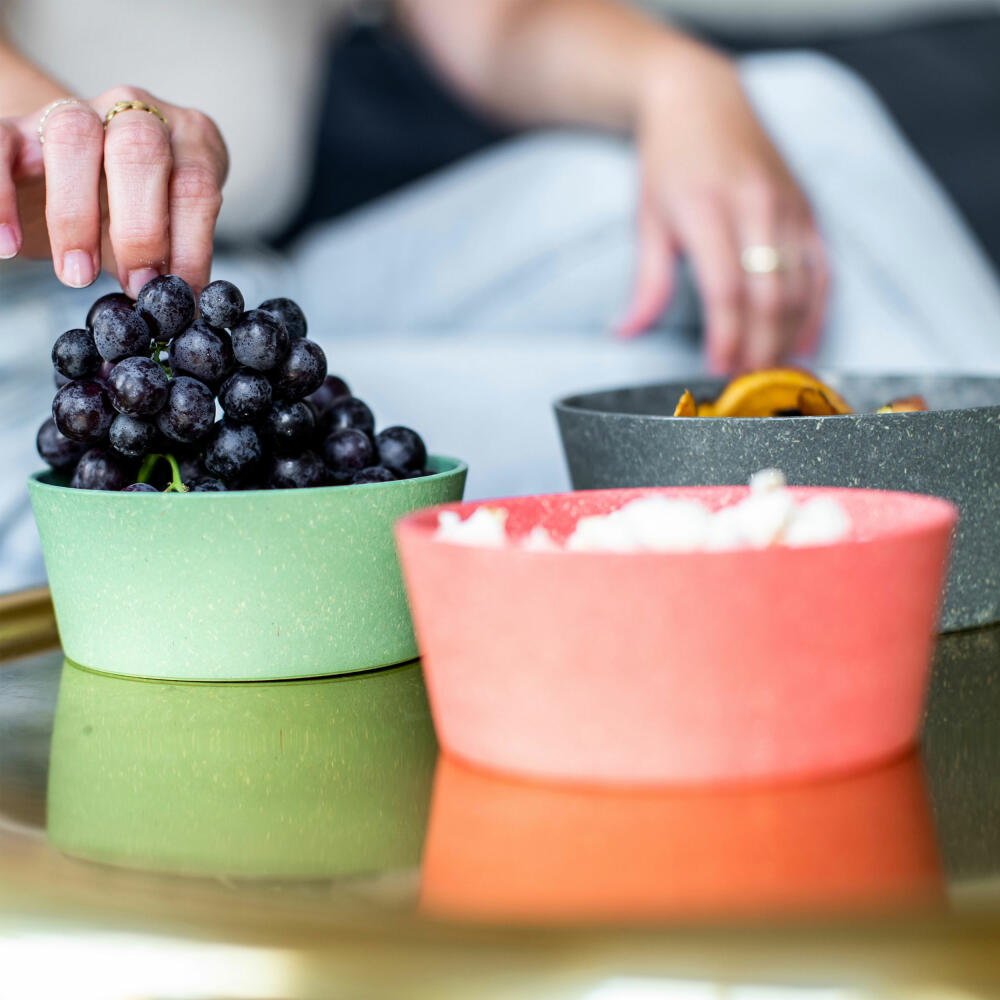 Koziol Schale Connect Bowl 2er Set, Schüssel, Biozirkulärer Kunststoff, Nature Flower Blue, 890 ml, 7171716