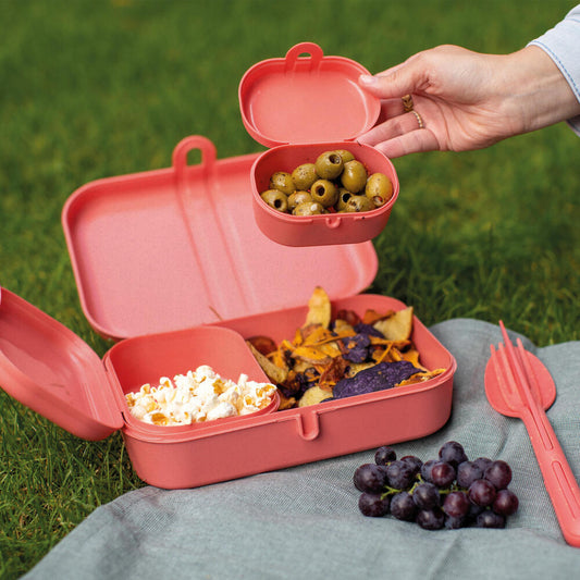 Koziol Lunchbox Set + Cutlery Set Pascal Ready, Lunch Box, Plastic-Wood Mix, Nature Coral, 7168704