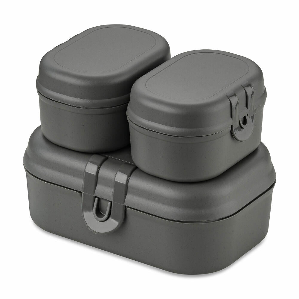 Koziol Lunchbox-Set 3-tlg. Pascal Ready Mini, Brotdosen, Kunststoff, Nature Ash Grey, 7151701