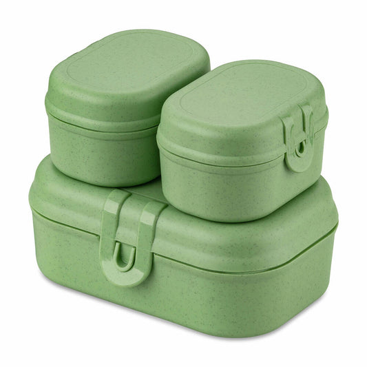 Koziol Lunchbox-Set 3-tlg. Pascal Ready Mini, Brotdosen, Kunststoff, Nature Leaf Green, 7151703