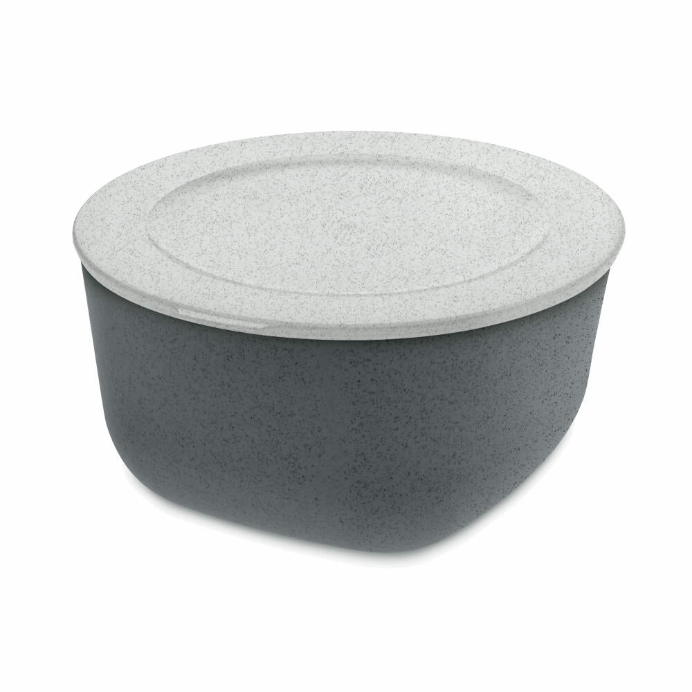 Koziol Box mit Deckel Connect L, Aufbewahrungsbox, Organizer, Kiste, Thermoplastischer Kunststoff, Organic Deep Grey, 2 L, 3871673