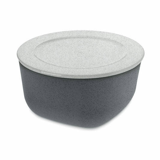 Koziol Box mit Deckel Connect L, Aufbewahrungsbox, Organizer, Kiste, Thermoplastischer Kunststoff, Organic Deep Grey, 2 L, 3871673