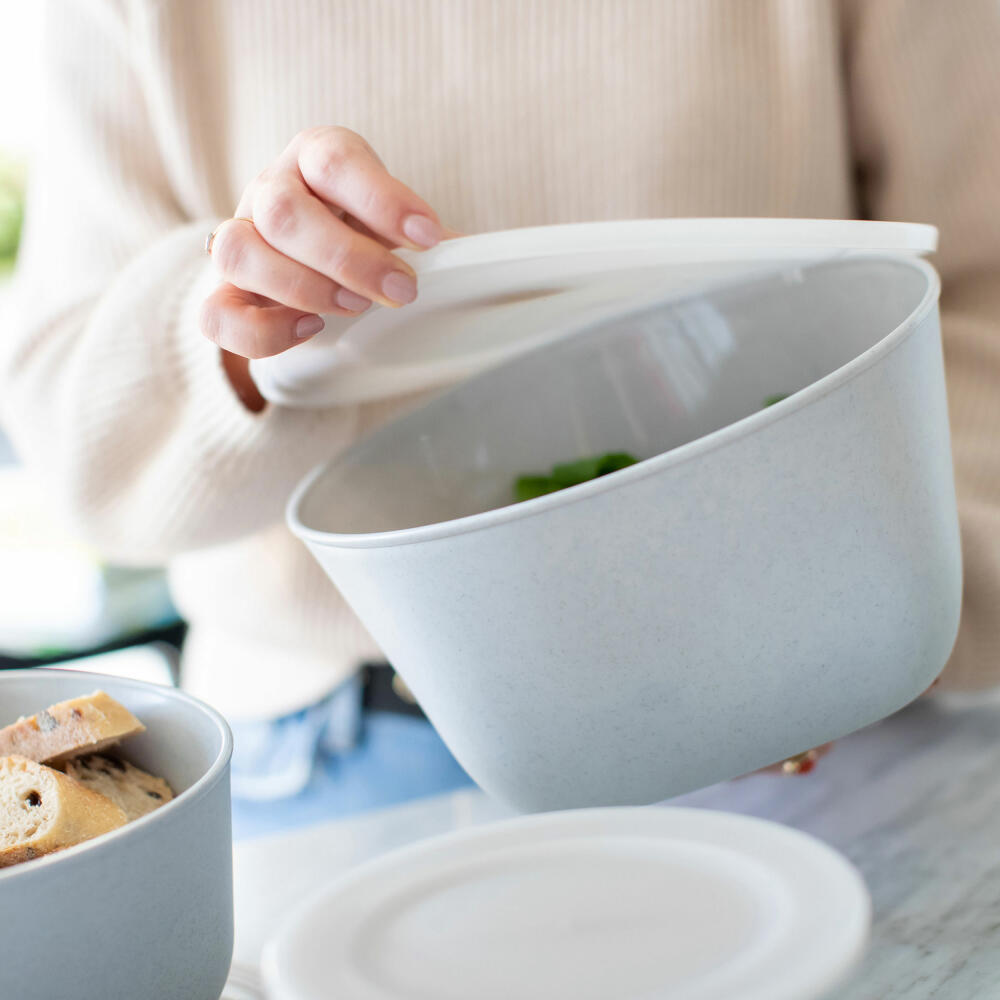 Koziol Box mit Deckel Connect L, Aufbewahrungsbox, Organizer, Kiste, Thermoplastischer Kunststoff, Organic Deep Grey, 2 L, 3871673