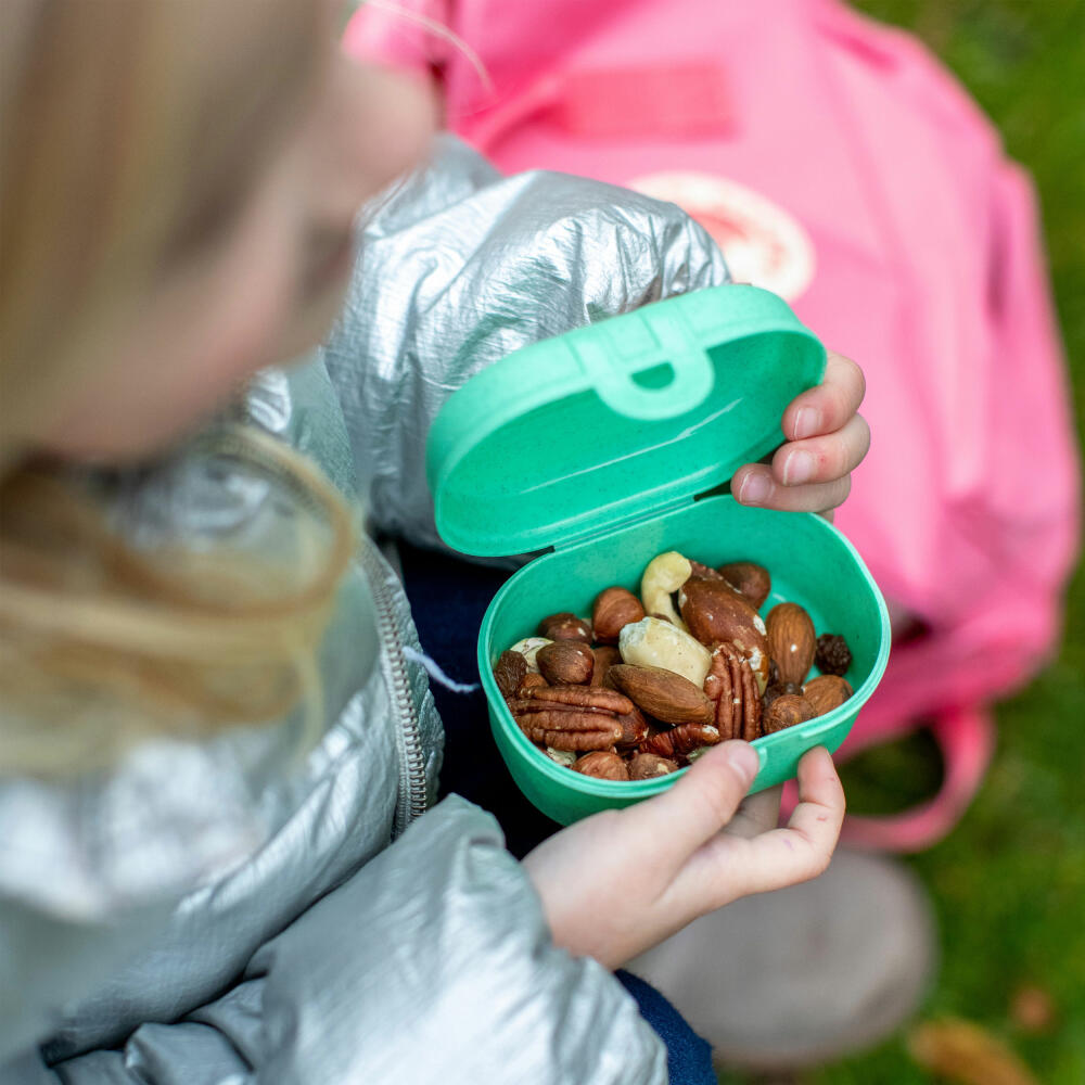 Koziol Lunchbox Pascal Mini, Snackdose, Kunststoff, Organic Apple Green, 3144708