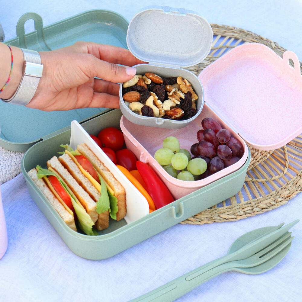 Koziol Lunchbox Pascal Mini, Snackdose, Kunststoff, Organic Strawberry Ice Cream, 3144707