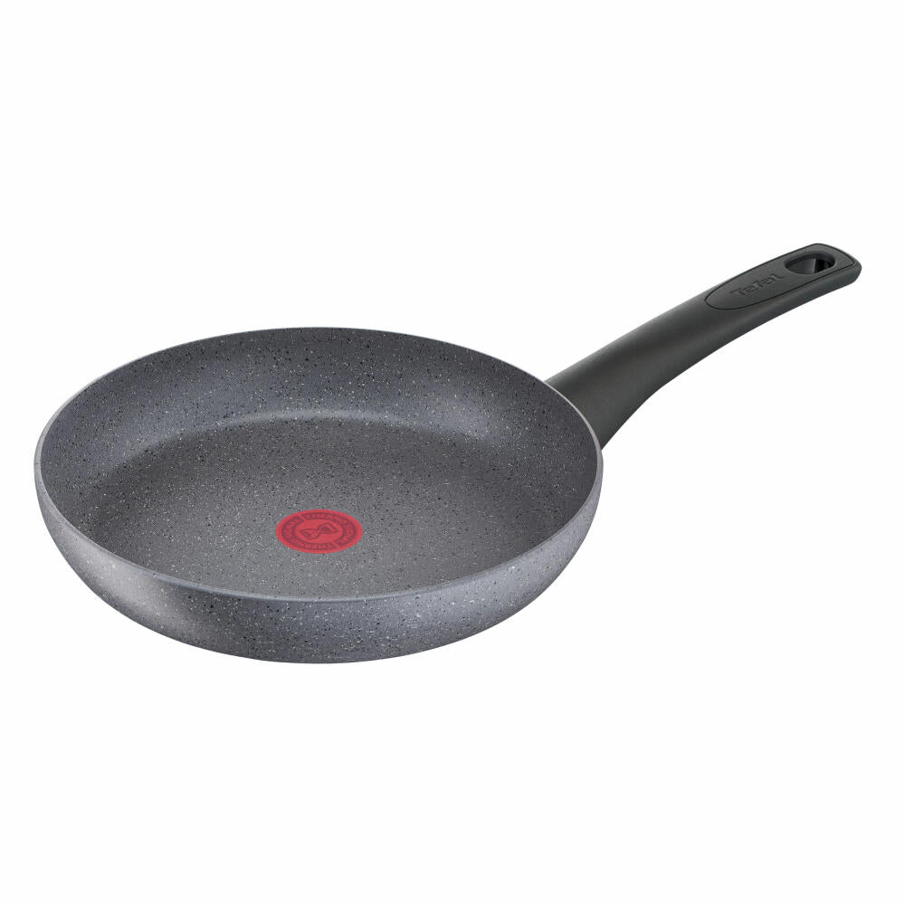 Tefal Natural Force Pfanne, Bratpfanne, Induktionsgeeignet, Aluminium, Ø 24 cm, G28604