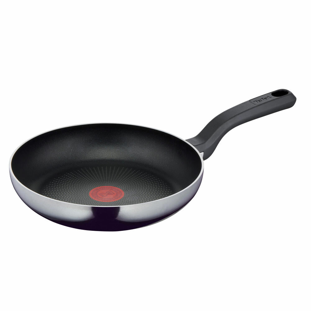 Tefal Resist Pfanne, Bratpfanne, Thermo Signal, Antihaftversiegelung, Aluminium, Ø 24 cm, D52604