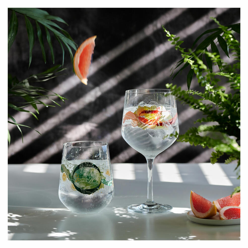 Ritzenhoff Gin-Stielglas 2er-Set Botanic Lights 001, Heike Zuschke, Kristallglas, 720 ml, 3791001