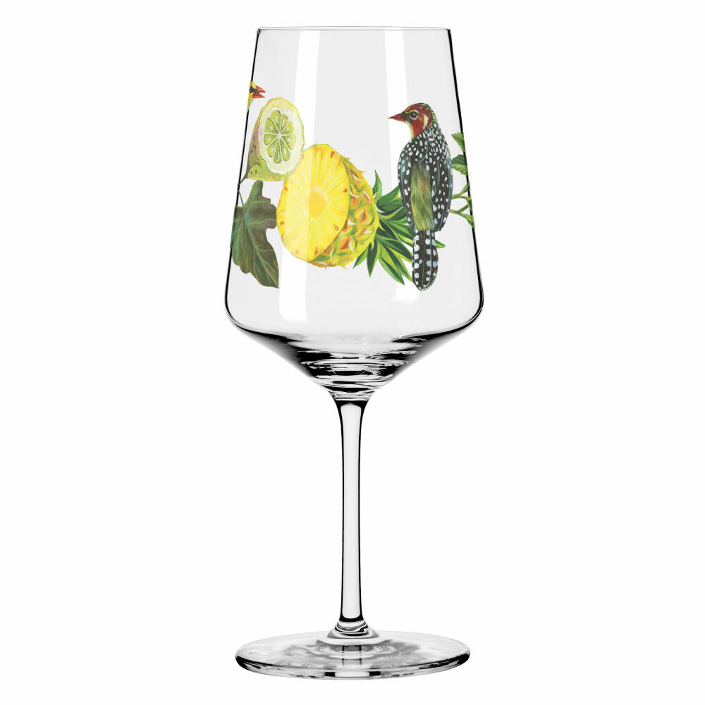 Ritzenhoff Sommertau Hugo 005 006 F24, 2er Set, Olaf Hajek, Hugo-Glas, Aperitifglas, Kristallglas, 544 ml, 2931019